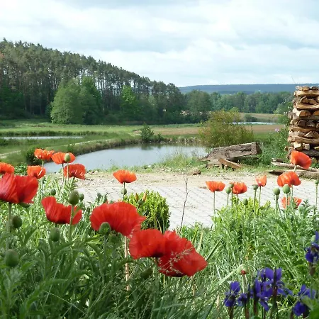 Ferienwohnungen Am Buechlhof Im Oberpfaelzer Seenland Neunburg vorm Wald Exterior photo