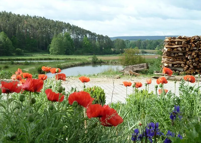 Ferienwohnungen Am Buechlhof Im Oberpfaelzer Seenland