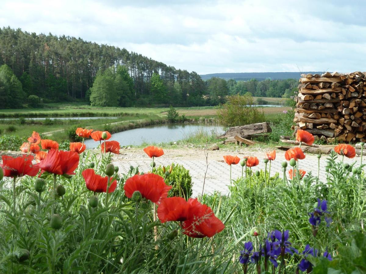 Appartement Am Buechlhof Im Oberpfaelzer Seenland Neunburg vorm Wald